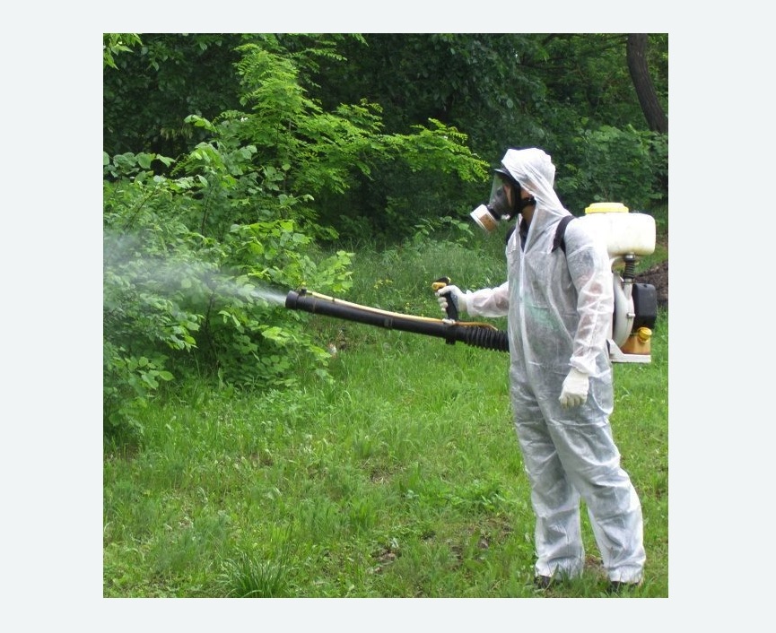 обработка территории от клещей в Лахденпохье