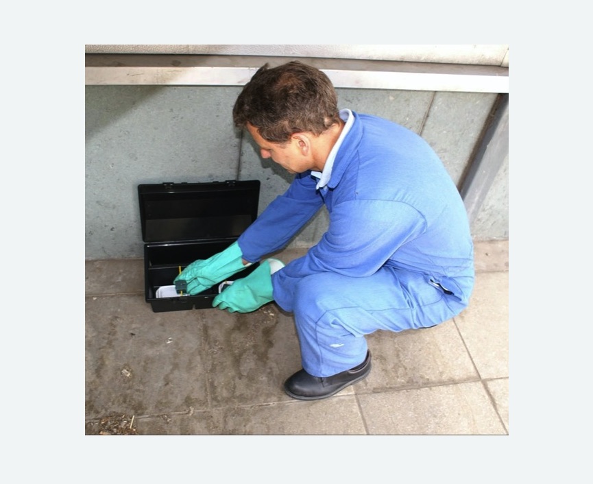 Дератизация помещения в Лахденпохье Дератизация помещения