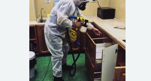 Уничтожение насекомых в квартире. Лахденпохья