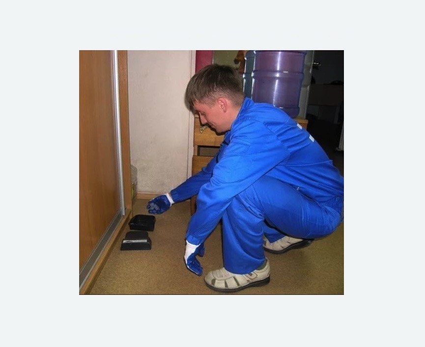 Дератизация крыс в Лахденпохье