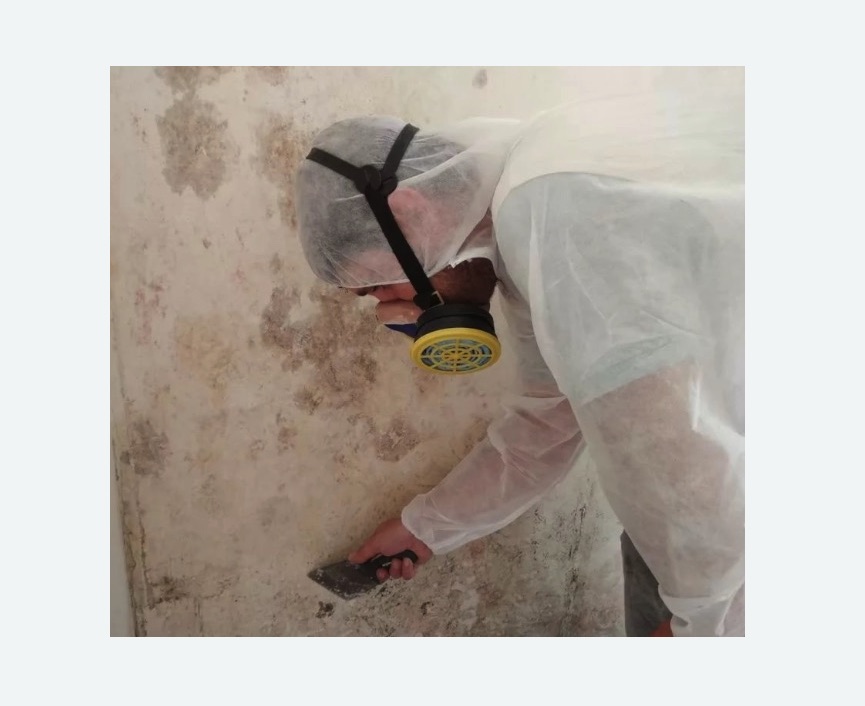 Обработка стен от плесени в Лахденпохье