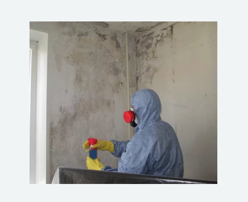 Удаление плесени в квартире в Лахденпохье