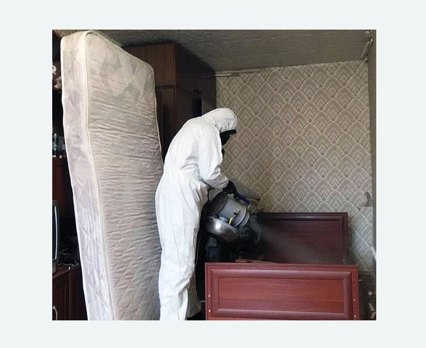 дезинфекция от клопов в Лахденпохье