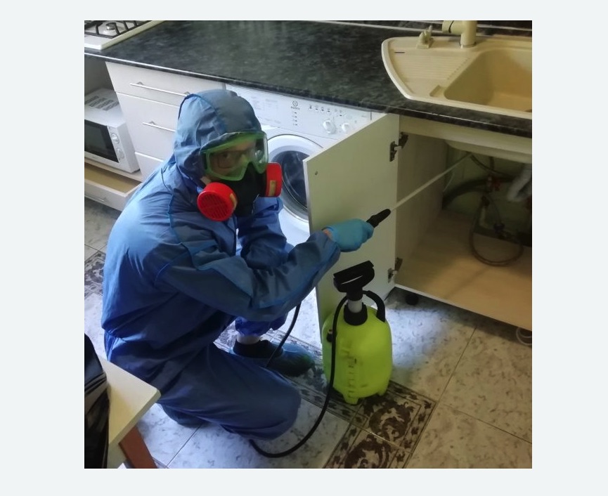 обработка от муравьев в квартире в Лахденпохье