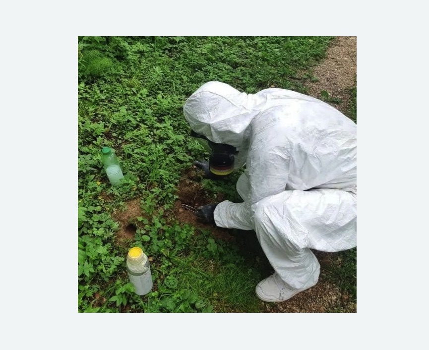 уничтожение кротов на участке в Лахденпохье