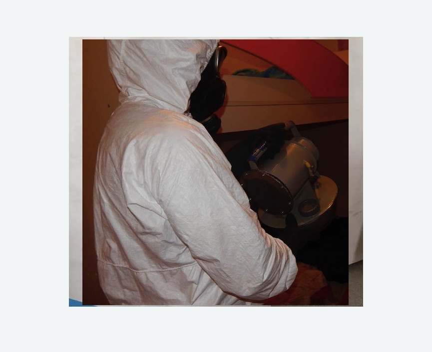 Дезинфекция от муравьев в Лахденпохье